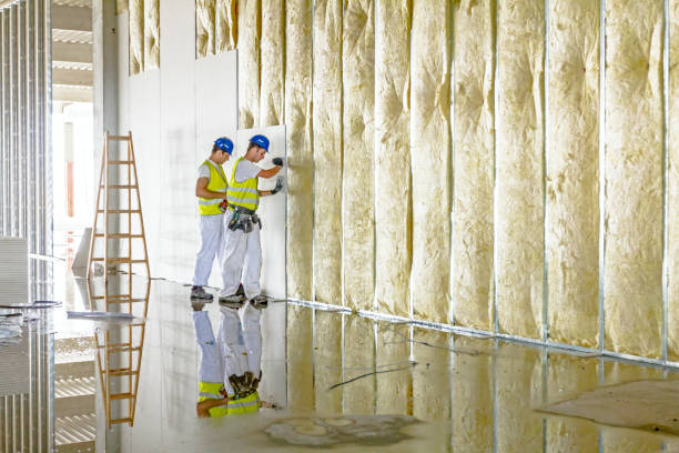 Best Local Insulation Services  in Bunnell, FL